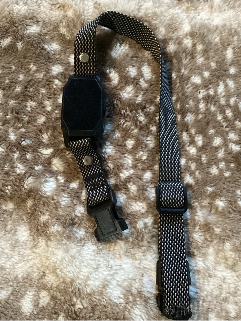 Dog Training Collar in Black - TF-X1
